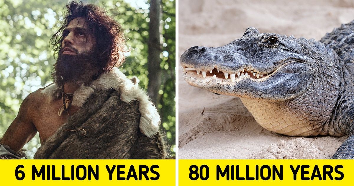 20 Animals That Have Been on Earth Longer Than Humans / Bright Side