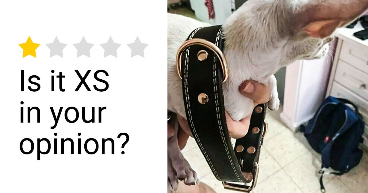 10 Online Reviews That Are Better Than the Items They Described
