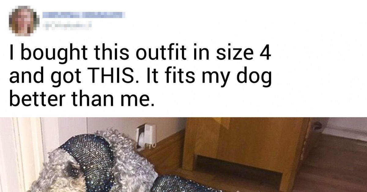 15 Examples That Prove Online Reviews Are Full of Real Drama 15 Examples That Prove Online Reviews Are Full of Real Drama