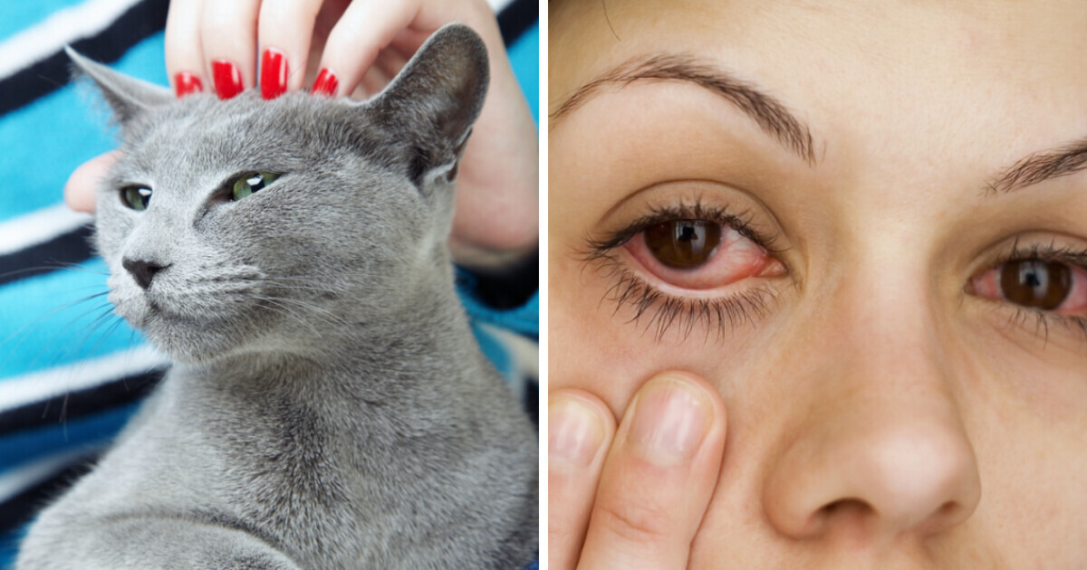 9 Things That Specialists Don’t Recommend to Do at Night Before Bed