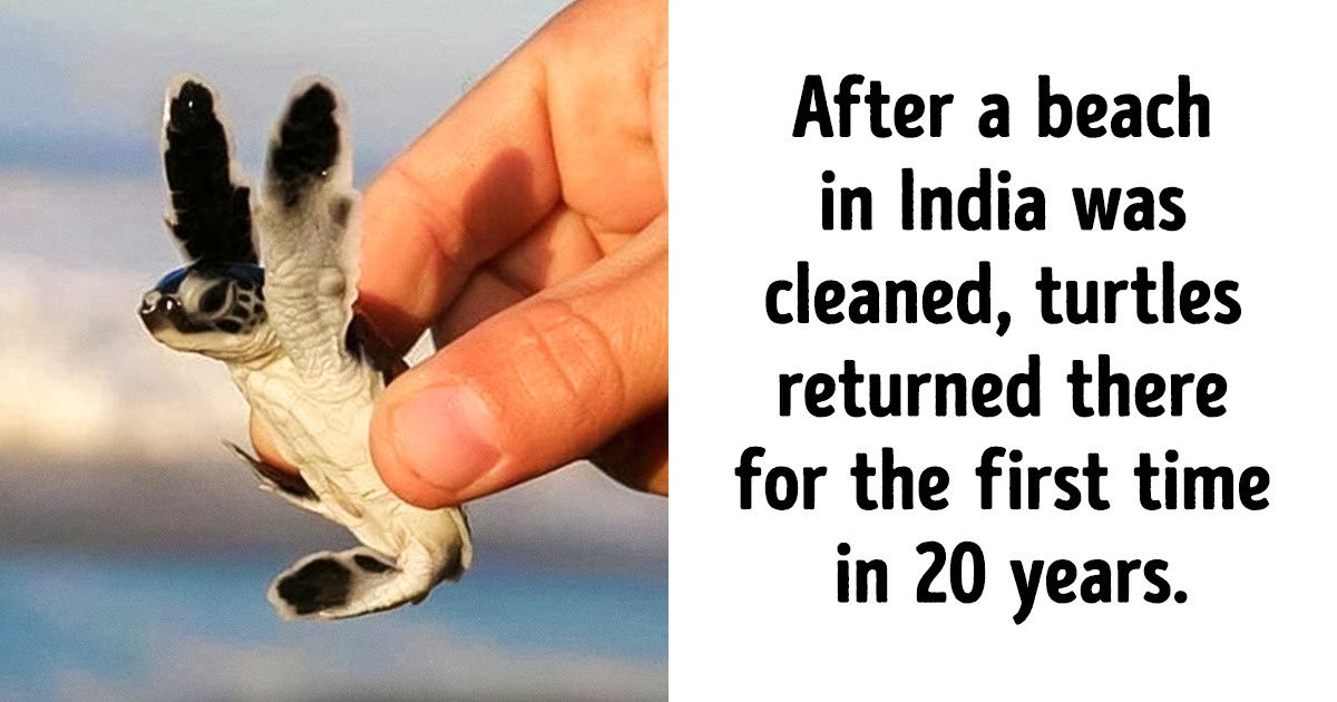 9 Uplifting Stories From People Who’ve Won Their Fight for the Environment 9 Uplifting Stories From People Who’ve Won Their Fight for the Environment