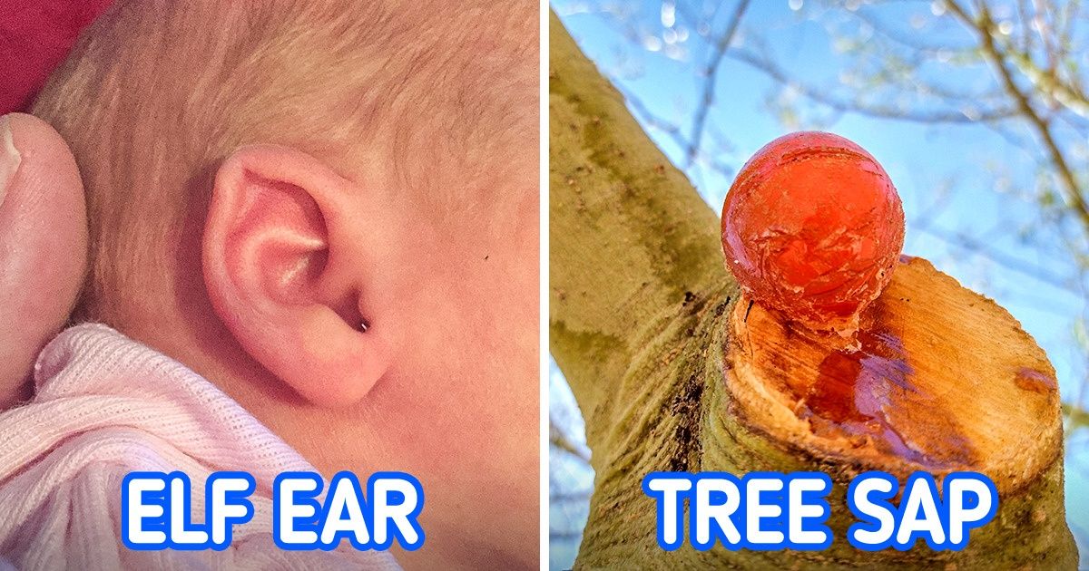 15+ Pics Showing That Life Looks Like a Fairytale 15+ Pics Showing That Life Looks Like a Fairytale