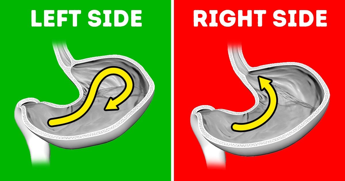 9 Ways to Make Your Digestive System Run Smoothly 9 Ways to Make Your Digestive System Run Smoothly
