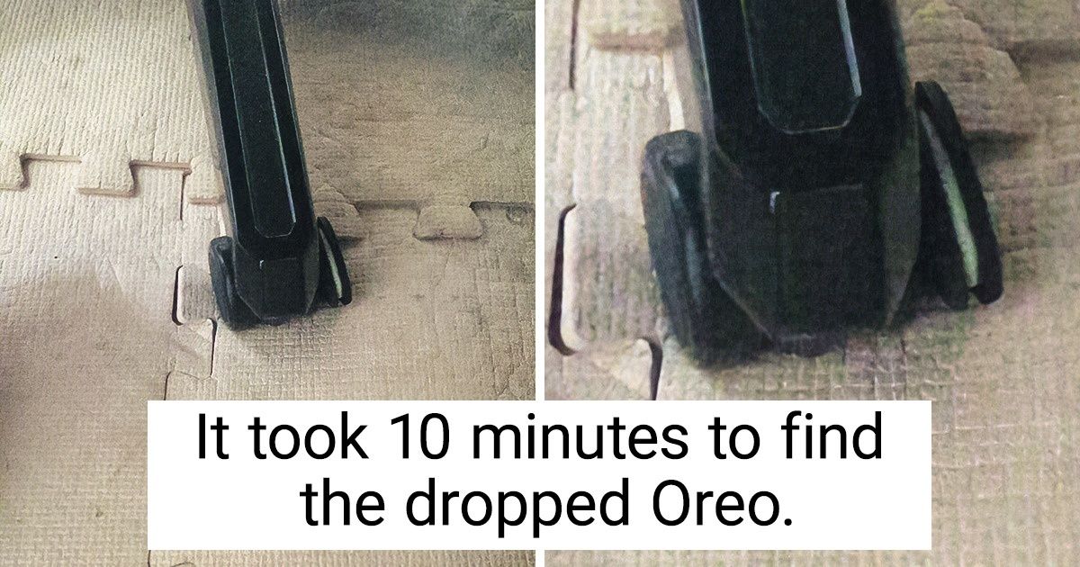 17 Examples of Perfect Camouflage That’ll Make Any Ninja Green With Envy 17 Examples of Perfect Camouflage That’ll Make Any Ninja Green With Envy