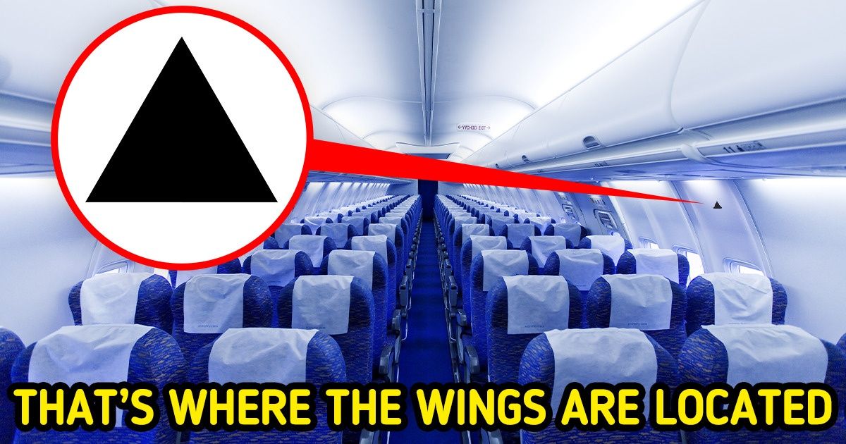 8 Mysterious Little Things on Planes That Are Very Important for Your Safety 8 Mysterious Little Things on Planes That Are Very Important for Your Safety