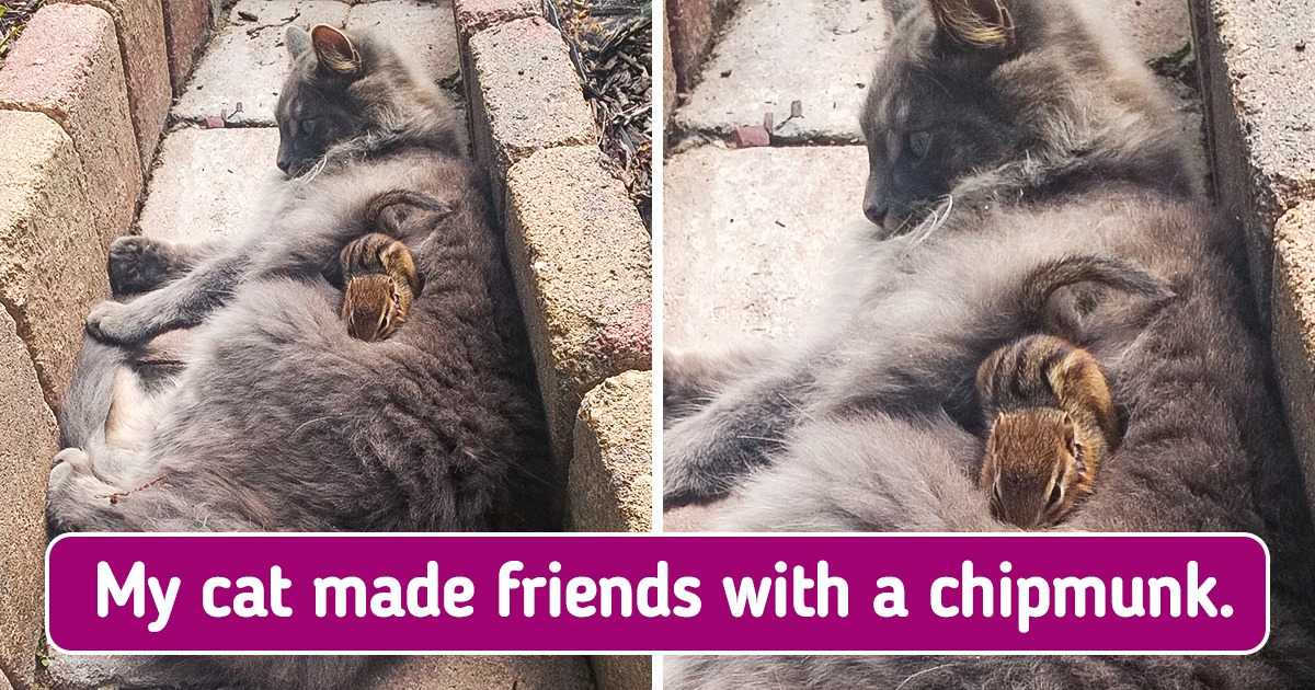 15 Pics That Are Sweeter Than a Birthday Cake