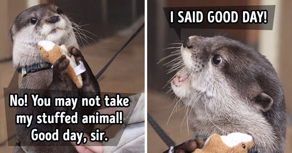 14 Valuable Tips to Make Others Care About Your Opinion