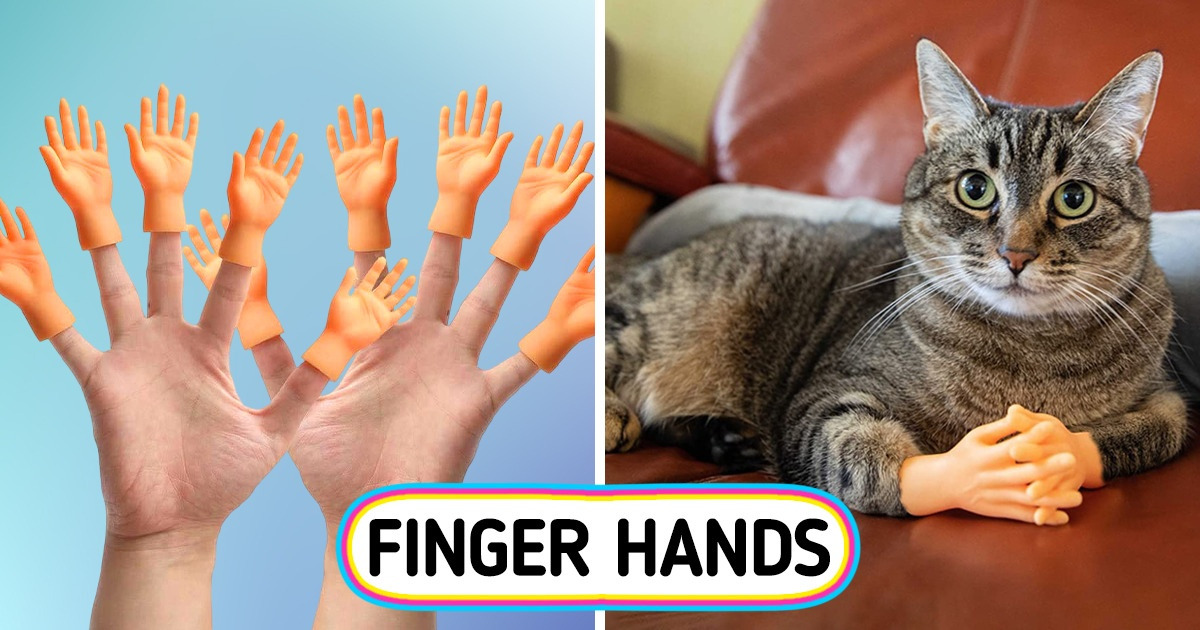 On Sale: These 8 Funny Finds Will Not Fail to Make You Laugh