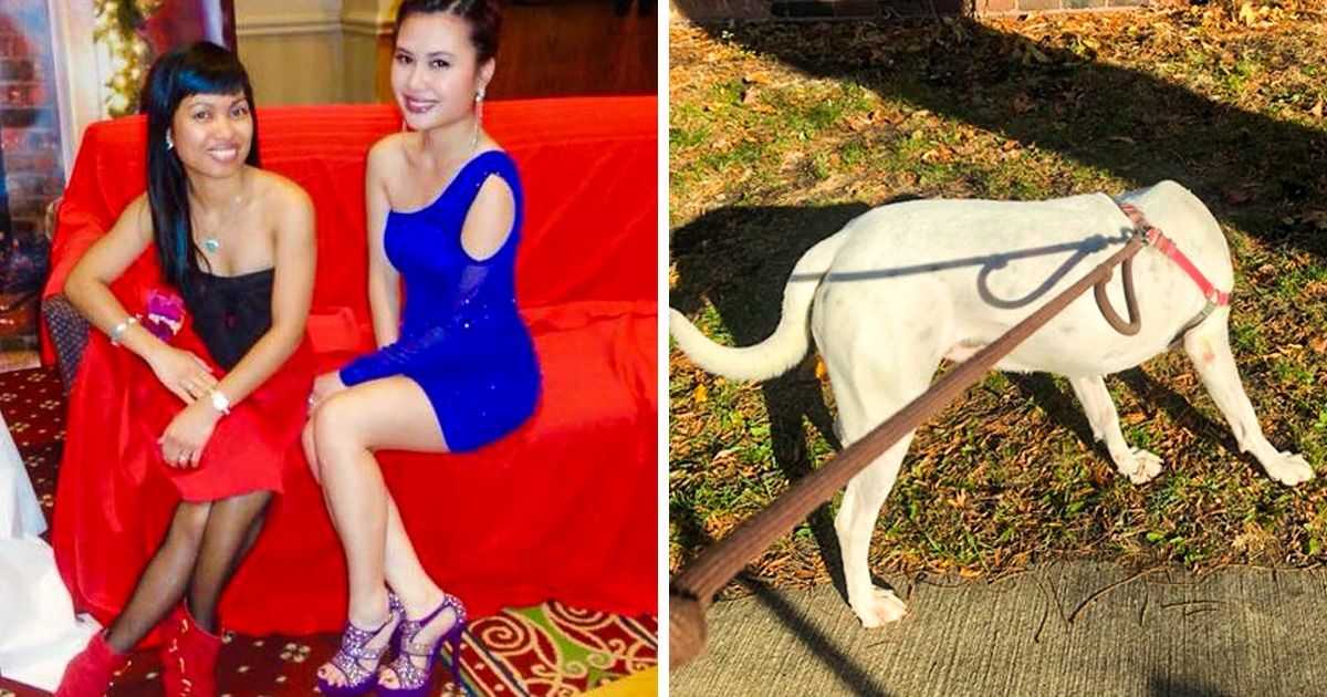 15+ Head-Scratching Pics That Need Explaining Right Now 15+ Head-Scratching Pics That Need Explaining Right Now