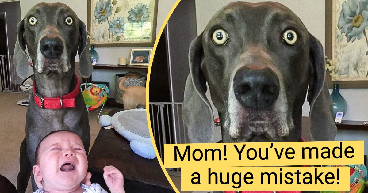 15 Pics That Are Nothing but Comedy Gold