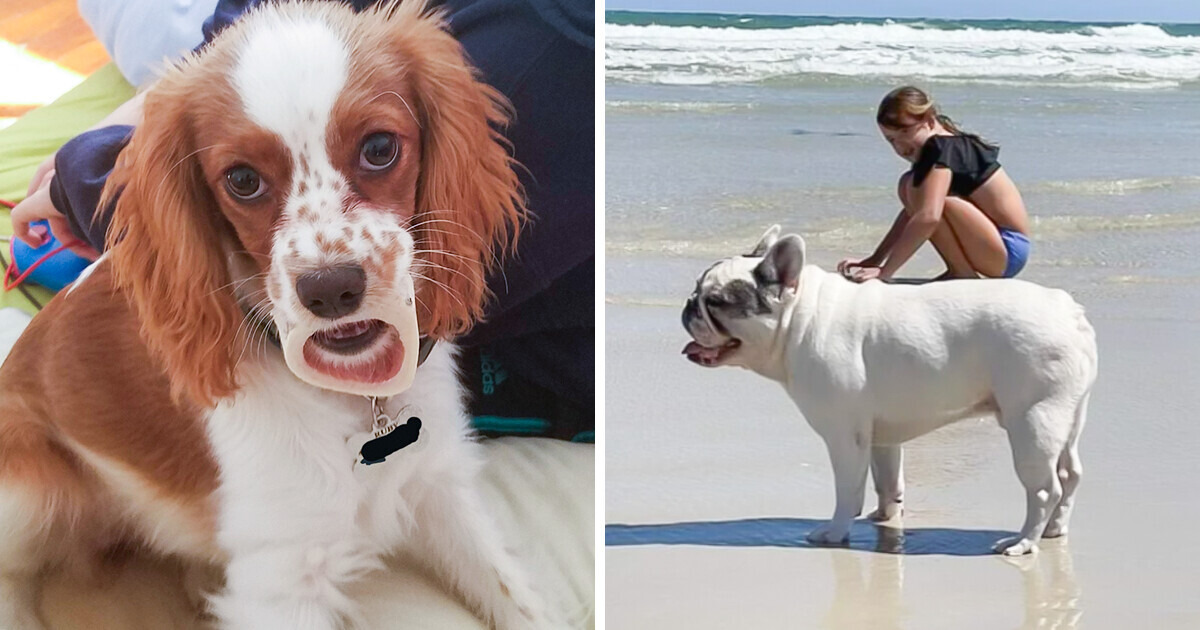 14 Photos That Play Tricks on Reality