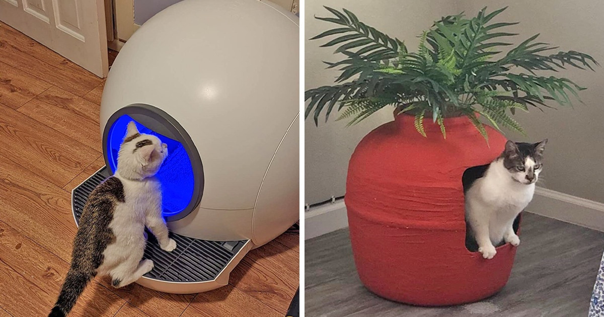 10 Cat Trays From Amazon That Will Give Pets Privacy When They Need It Most