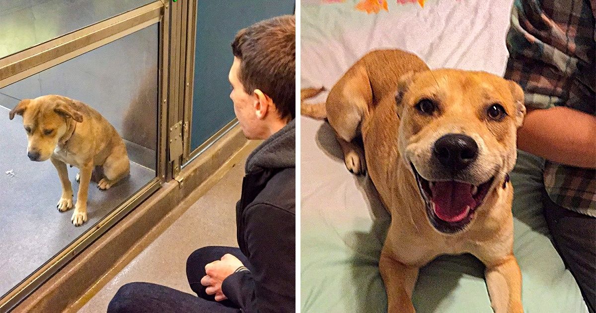 17 Photos That Show How True Love Can Change Your Life 17 Photos That Show How True Love Can Change Your Life