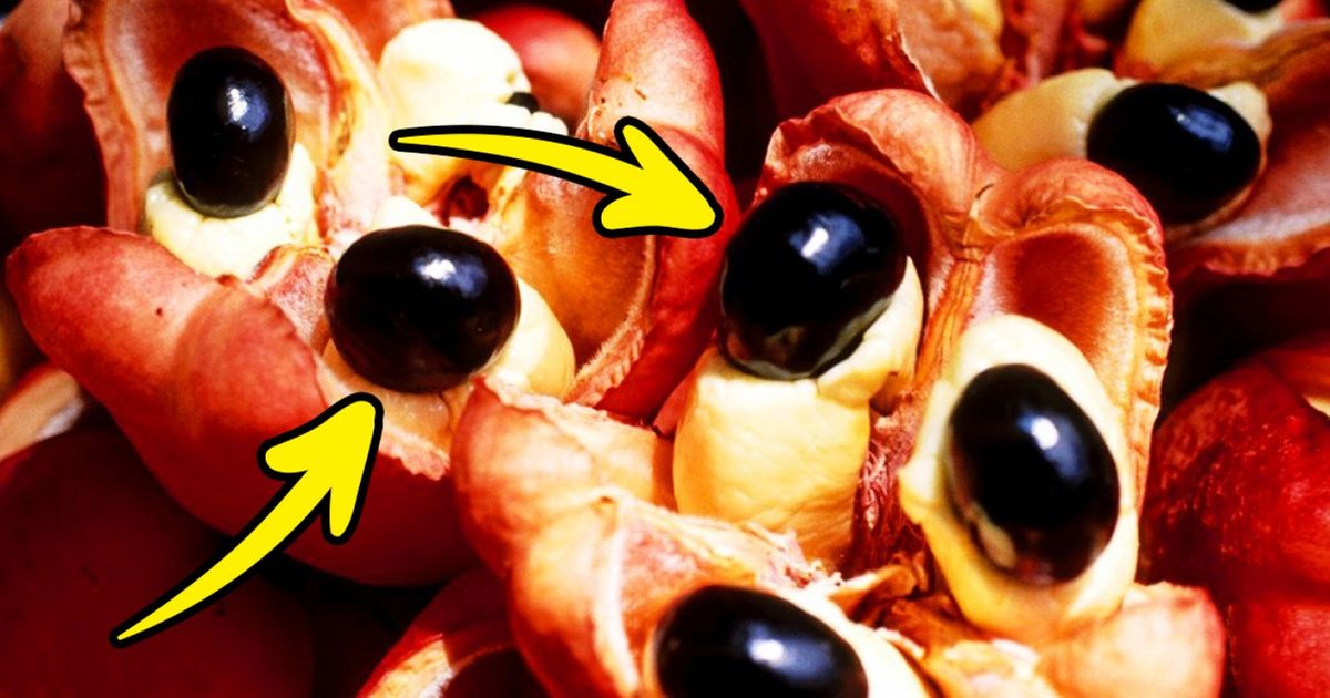 12 Deadly Foods People Around the World Love to Eat