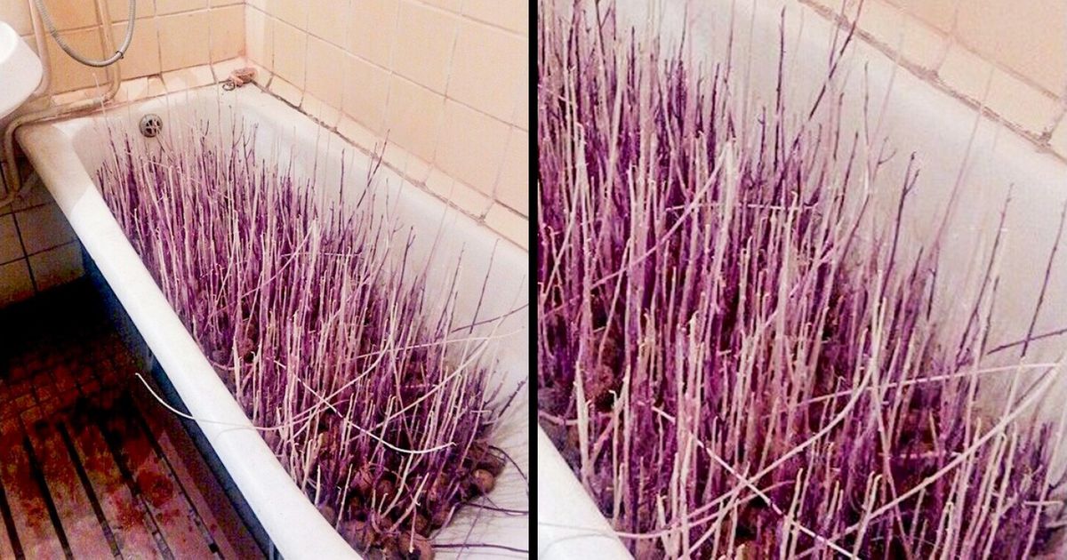 27 Pictures That Contain More Meaning Than We Think at First Glance