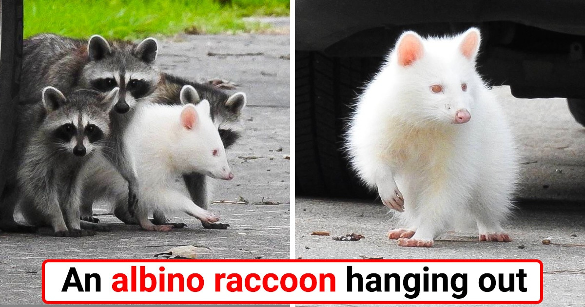 17 Times Mother Nature Decided to Be Creative