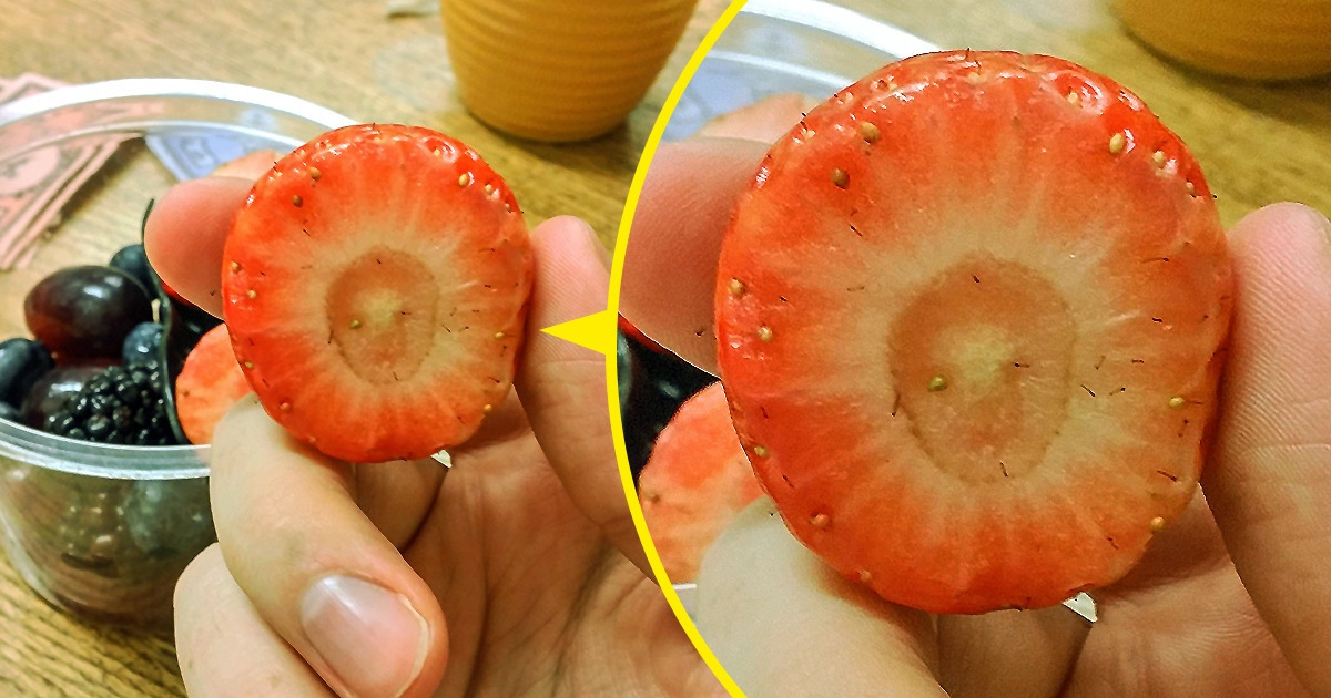 20 Times Nature Decided to Surprise Us in the Most Unexpected Way