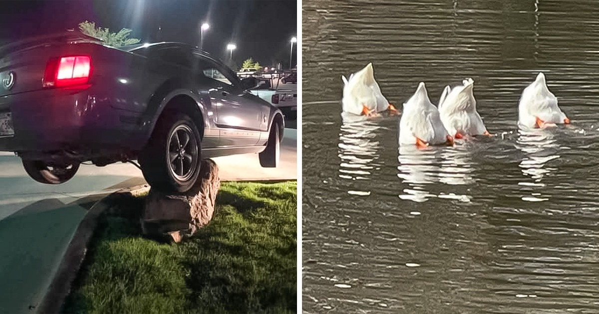 15 Photos That Show Sudden Moments Happen When You Least Expect Them