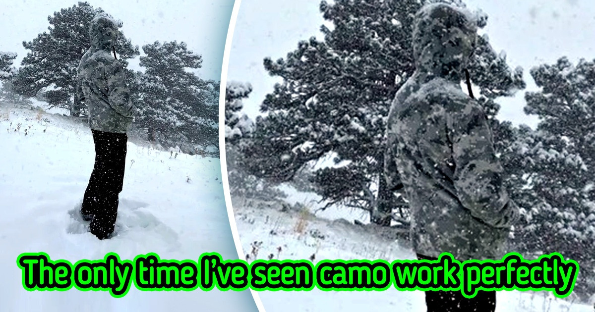 20+ Times Everyday Things Became Completely Undetectable by Naked Eye