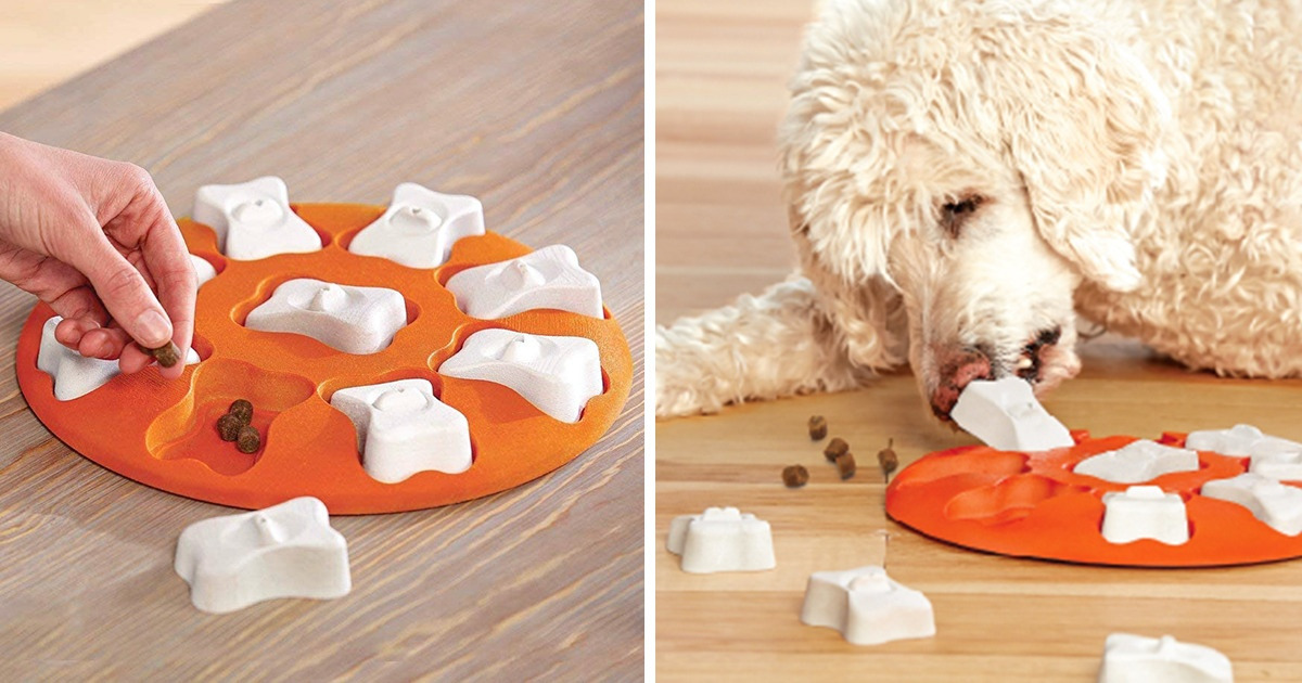 15+ Most Wished For Products From Amazon That People Can’t Wait to Buy for Their Pets 15+ Most Wished For Products From Amazon That People Can’t Wait to Buy for Their Pets