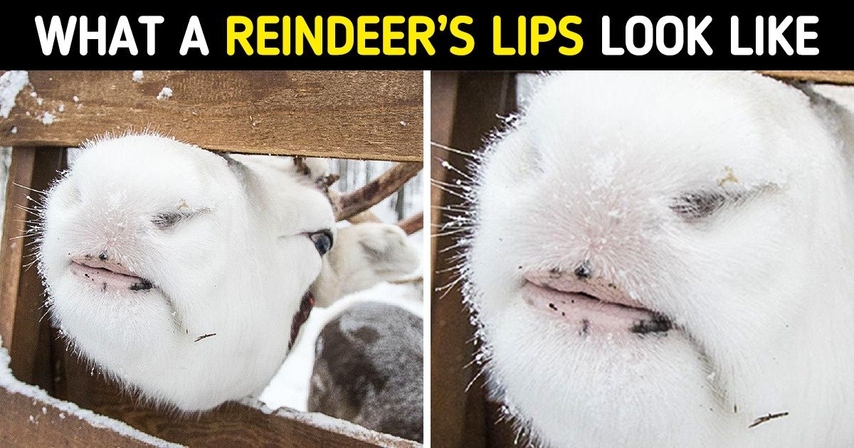 20 Photos That Prove Nature Is Just a Big Weirdo