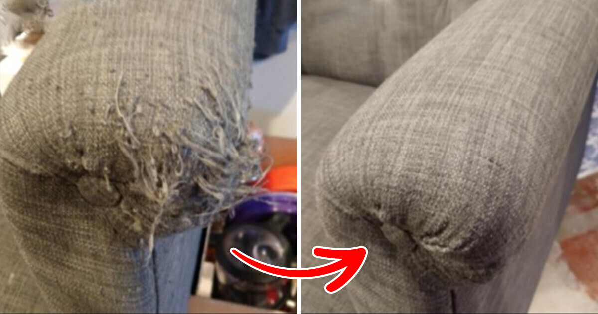 15 products that will elevate your entire home experience 15 products that will elevate your entire home experience