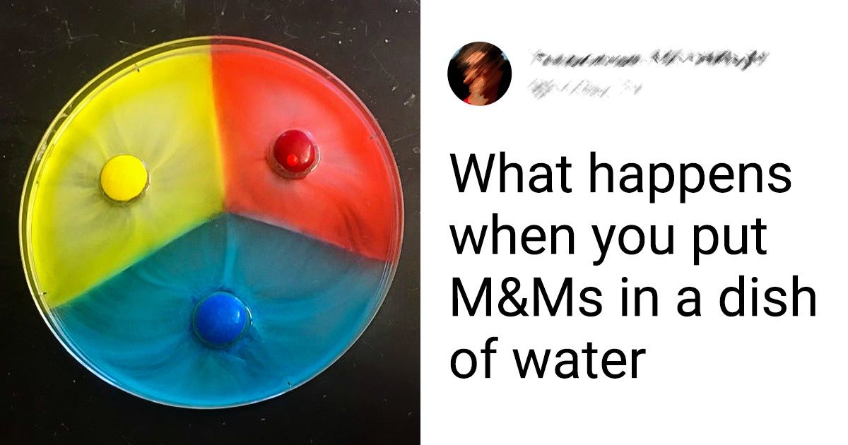 20+ Photos That Easily Answer the Question of “What If?”