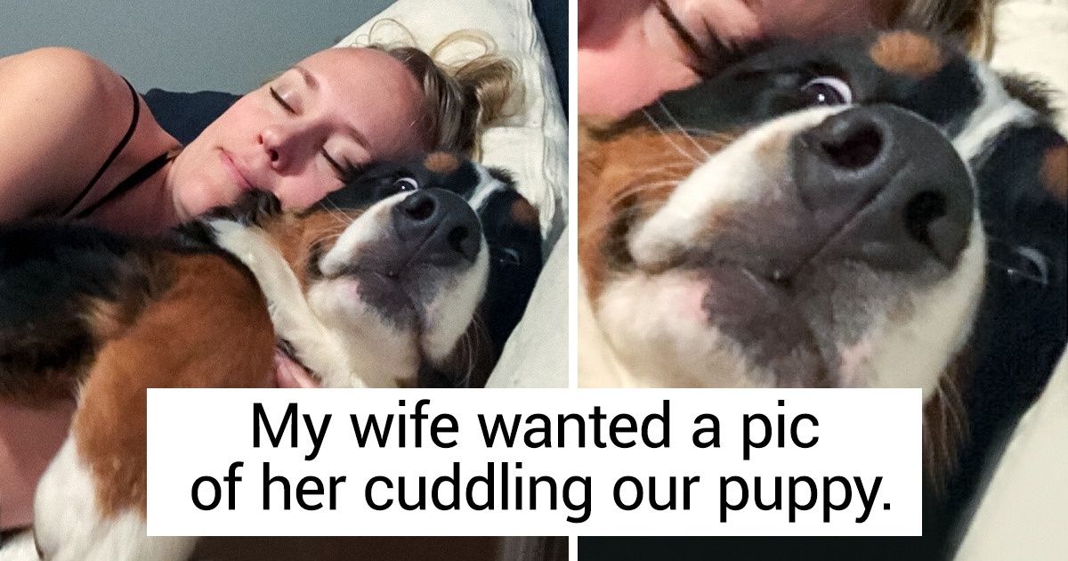 20 People Who Can’t Live Without Their Furry Pals 20 People Who Can’t Live Without Their Furry Pals