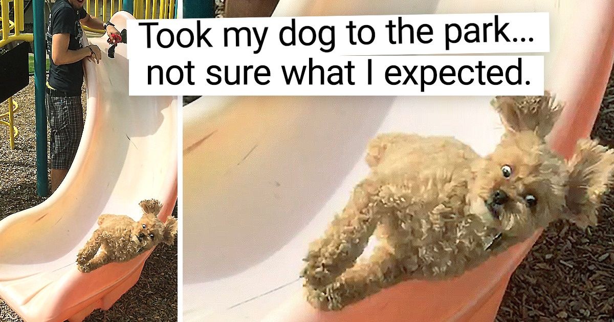 18 People Who Saw a Real Comedy While Doing Everyday Things 18 People Who Saw a Real Comedy While Doing Everyday Things