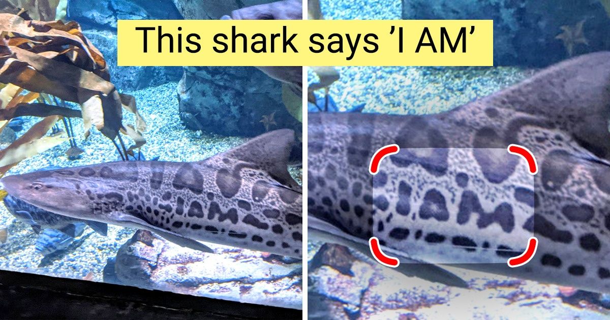 20 Strange Findings That Left Us Speechless