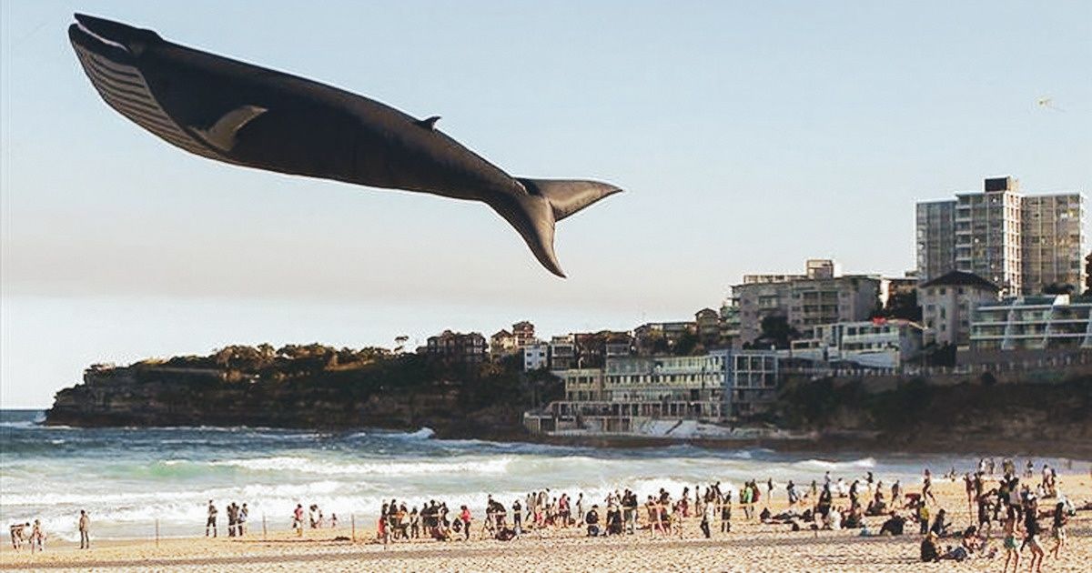 20 Photos in Which Photoshop Could Not Have Done a Better Job Than Nature