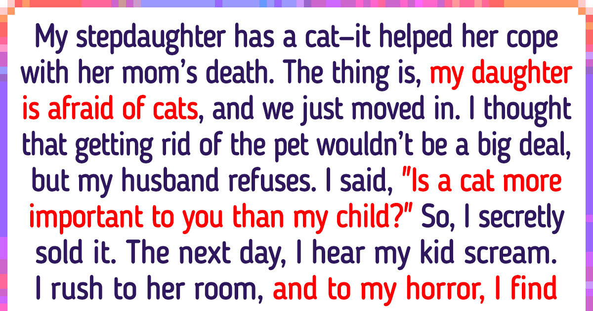 I Secretly Sold My Stepdaughter’s Cat — My Daughter Was Afraid of It I Secretly Sold My Stepdaughter’s Cat — My Daughter Was Afraid of It