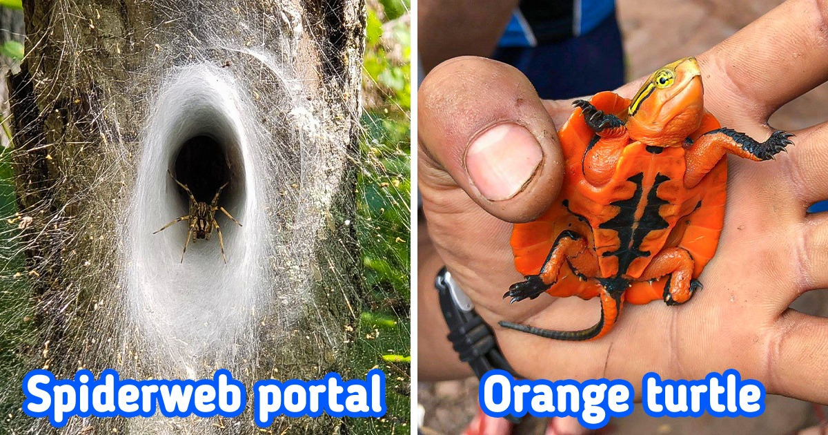 19 Times the World Proved It Still Has Something to Amaze Us With