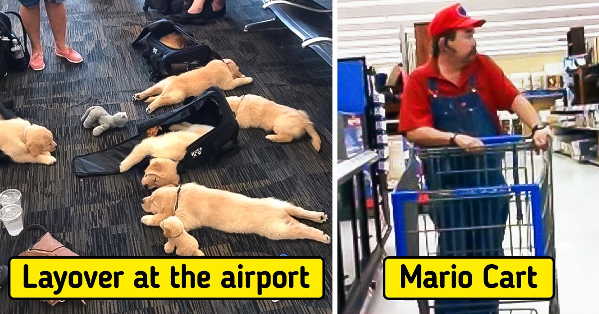 17 Times Puns Were Created by Life Itself
