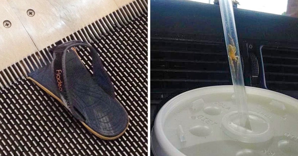 25 Photos That Can Make Our Hearts Skip a Beat