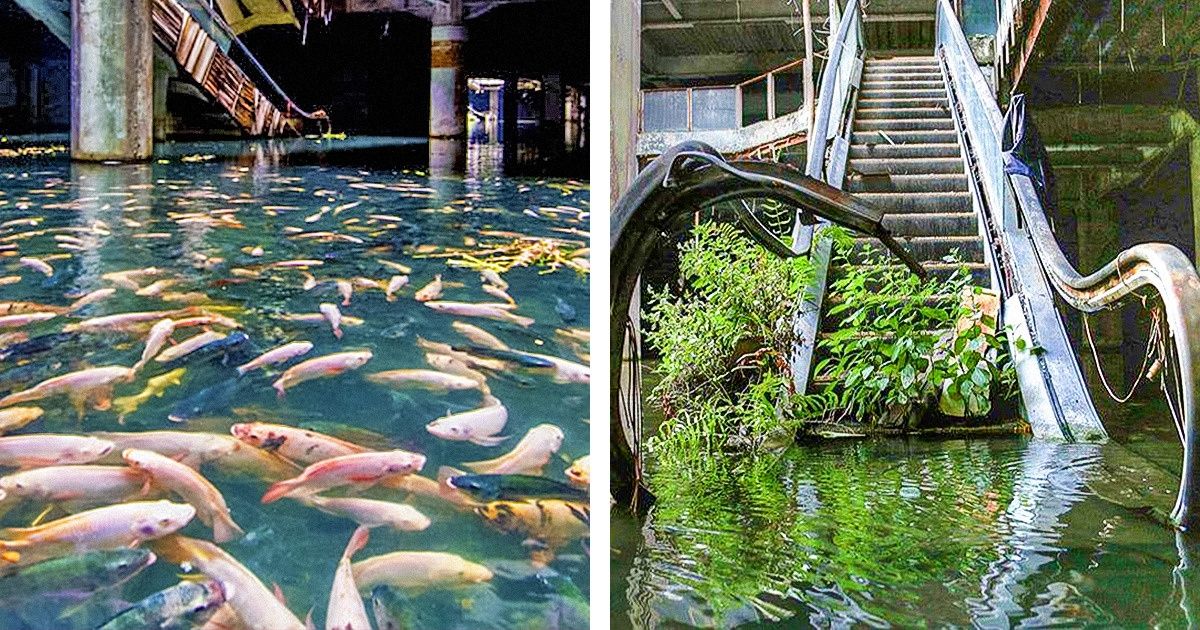 21 Dramatic Photos Proving Nature Is Always One Step Ahead of Us 21 Dramatic Photos Proving Nature Is Always One Step Ahead of Us
