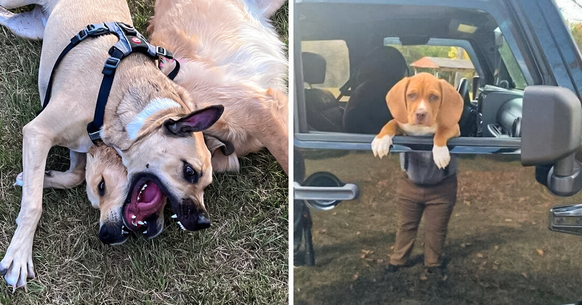 17 Confusing Pictures That Will Probably Mess With Your Mind