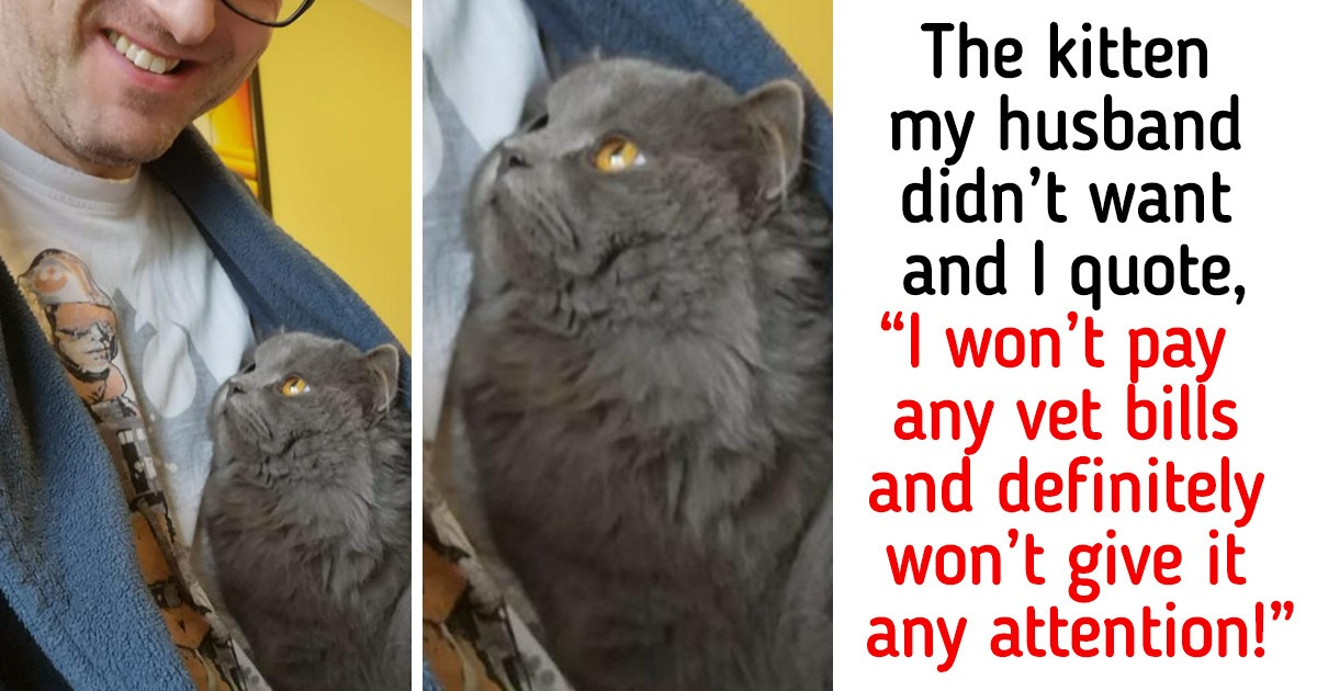 20+ Pets Who Love Their Owners So Much, You Can See It in Their Eyes