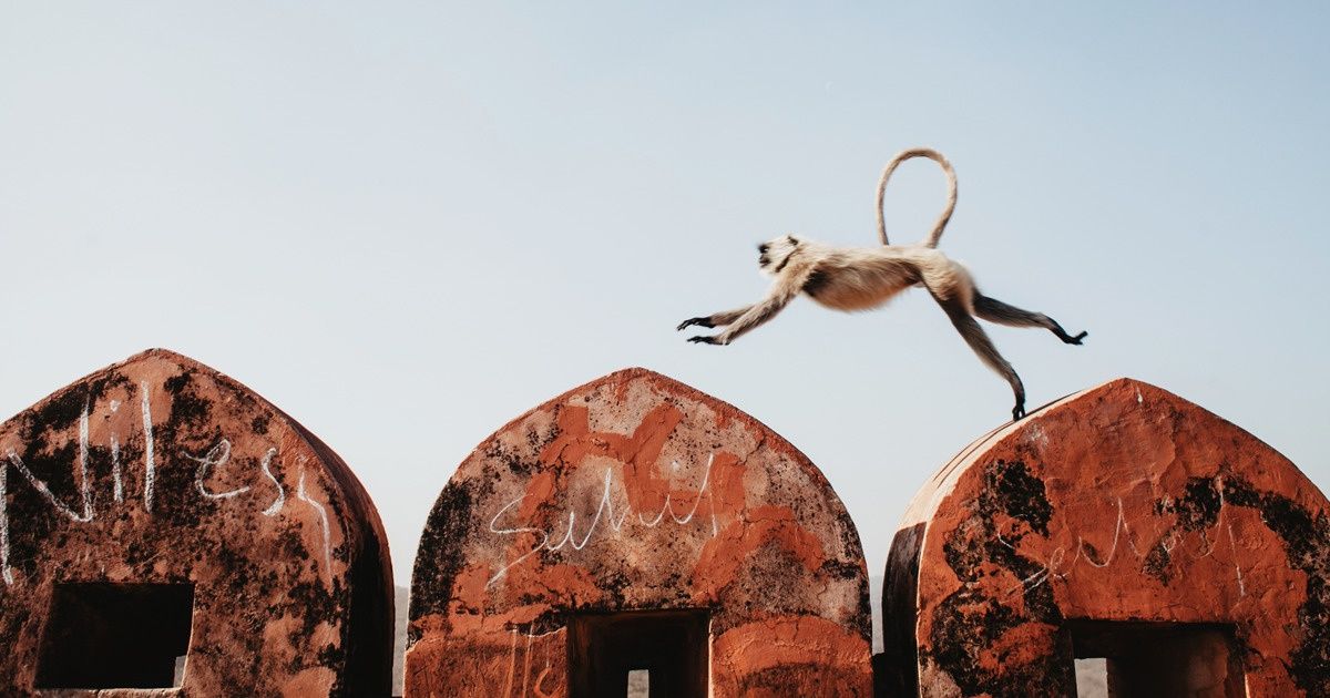 A Photographer From Belarus Captured Daily Life in Indian Cities