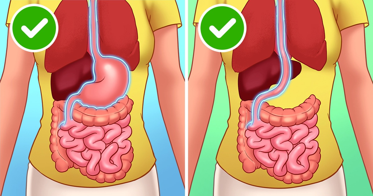 Why We Still Need These 11 Body Parts That We Don’t Really Need for Survival Why We Still Need These 11 Body Parts That We Don’t Really Need for Survival
