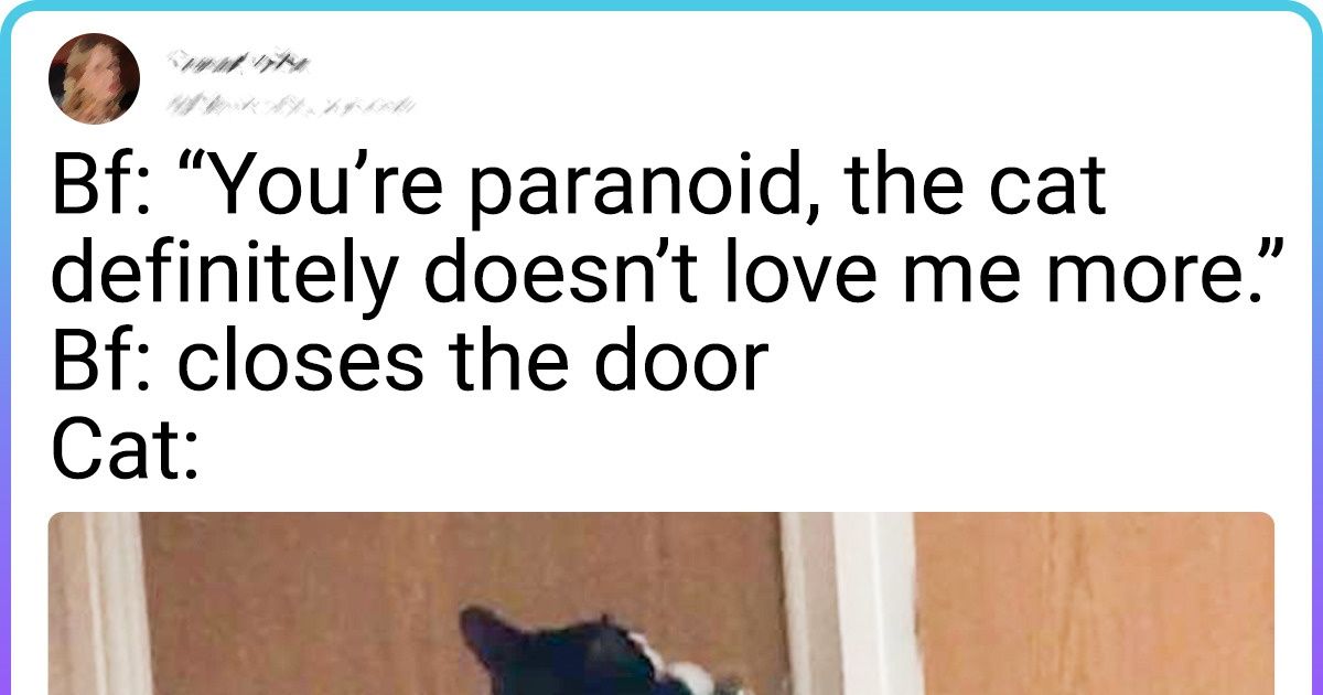 20+ Girls Whose Cats Stole Their Boyfriends’ Hearts