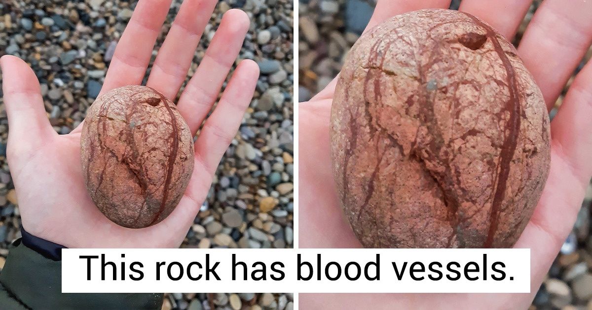 20 Things That Totally Look Like Something Else 20 Things That Totally Look Like Something Else