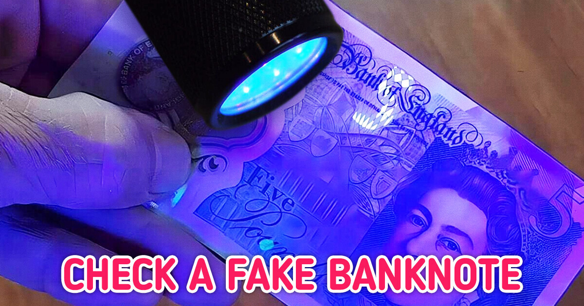 30+ Cool Things From Amazon That Will Get Your Entire Family Put Their Phones Down 30+ Cool Things From Amazon That Will Get Your Entire Family Put Their Phones Down