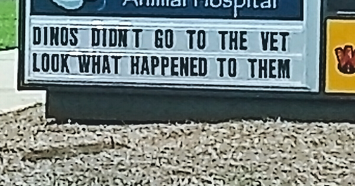 15+ Times Hospitals Were More Fun Than We Expected