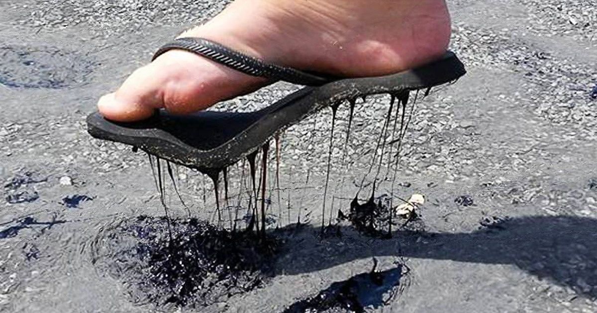 20 Crazy Photos That Prove Australia Is a Challenge for Everyone