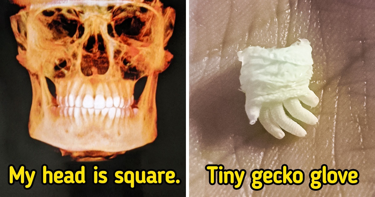 16 Photos Where People’s Routines Were Spiced Up by the Unexpected 16 Photos Where People’s Routines Were Spiced Up by the Unexpected