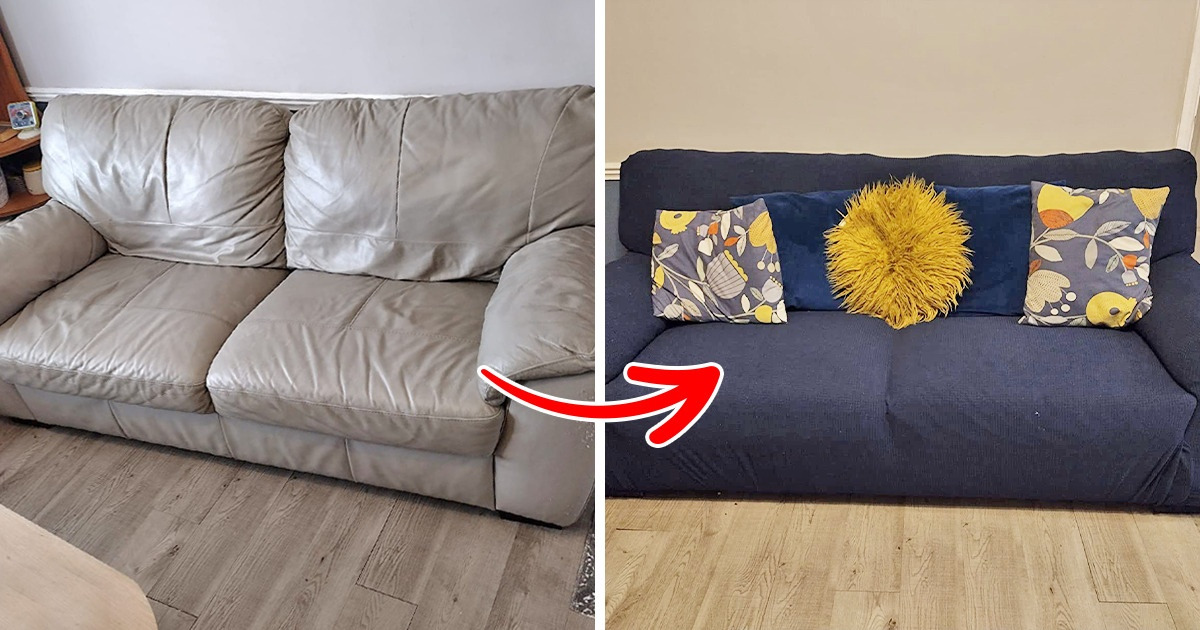 8 Discounted Items That Will Transform Your Home Beyond Recognition 8 Discounted Items That Will Transform Your Home Beyond Recognition