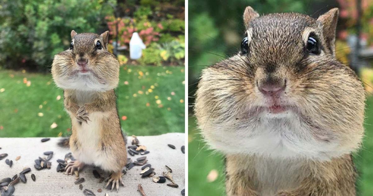 16 Reddit Users Who Met Little Cutie Pies in the Wild and Fell in Love With Them 16 Reddit Users Who Met Little Cutie Pies in the Wild and Fell in Love With Them