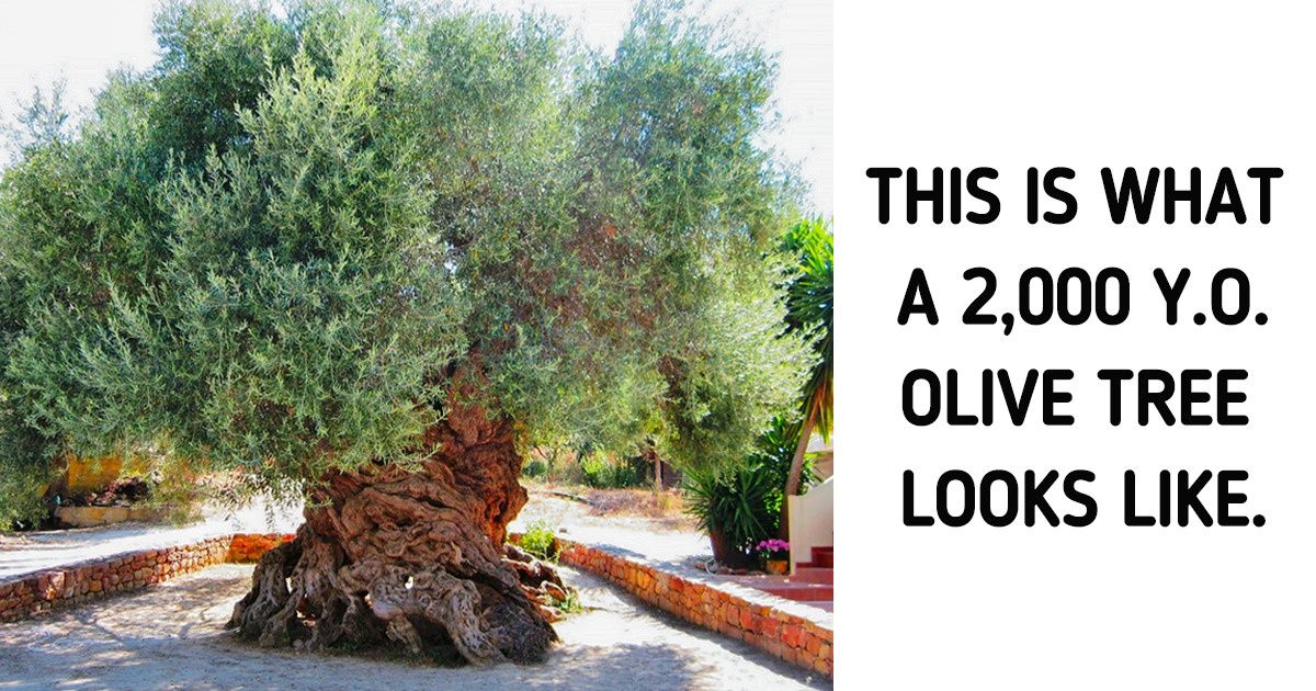 20 Fascinating Surprises From Nature We Didn’t Expect to See 20 Fascinating Surprises From Nature We Didn’t Expect to See