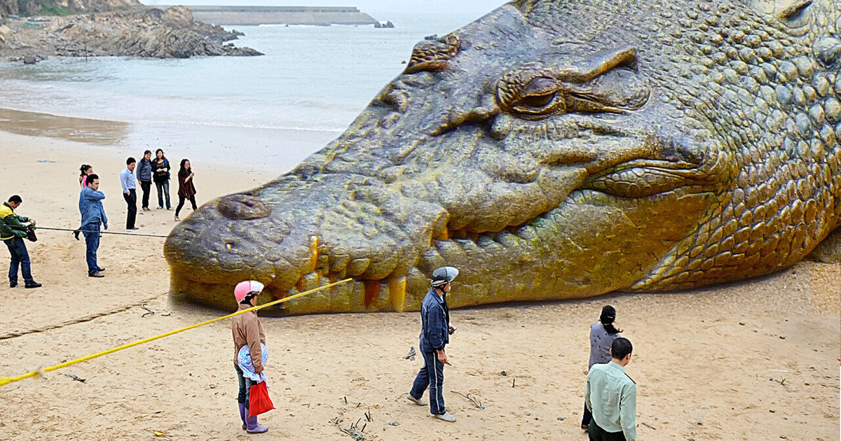 27 Animals That You Wouldn’t Want to Meet in Your Way
